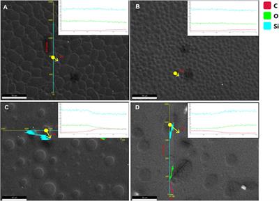 Fabrication of micropatterned thin films through controlled phase separation of polystyrene/polydimethylsiloxane blends by spin coating